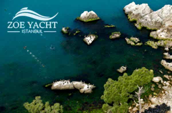 swimming in Bakı