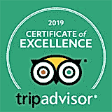 tripadvisor award winner 2019