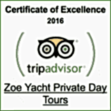 trip advisor award winner