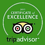 tripadvisor travel award