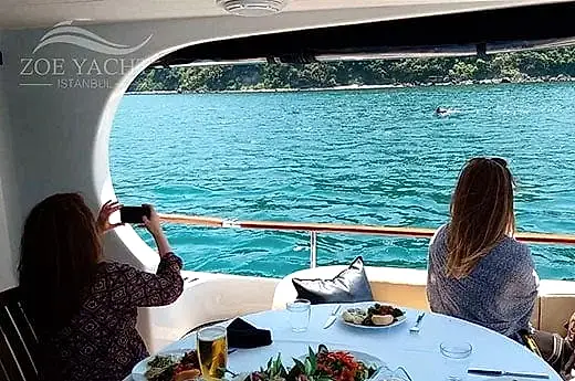 bosphorus black sea cruise from Bakı tour with dolphins and dinner